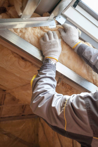 Types of Insulation We Offer in Oswego, NY