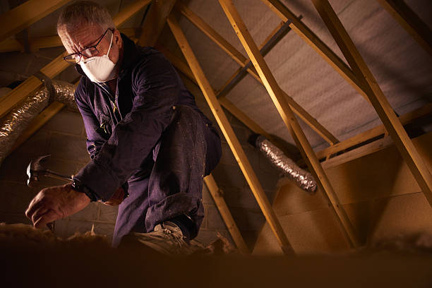 Professional Insulation Contractor in Oswego, NY