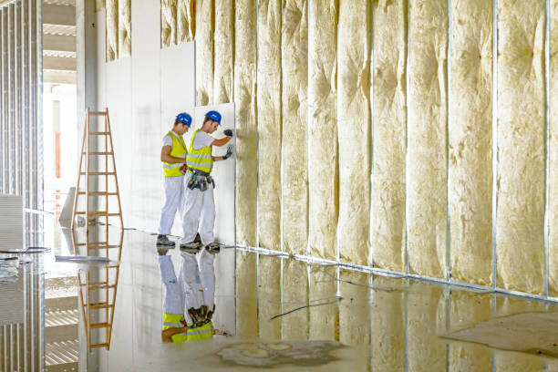 Best Residential Insulation in Oswego, NY